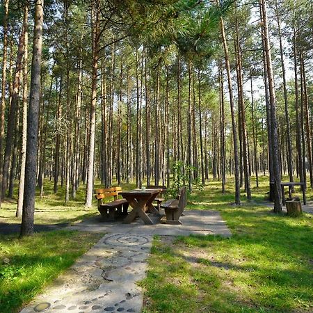 Forest Cottage Neringa Extérieur photo