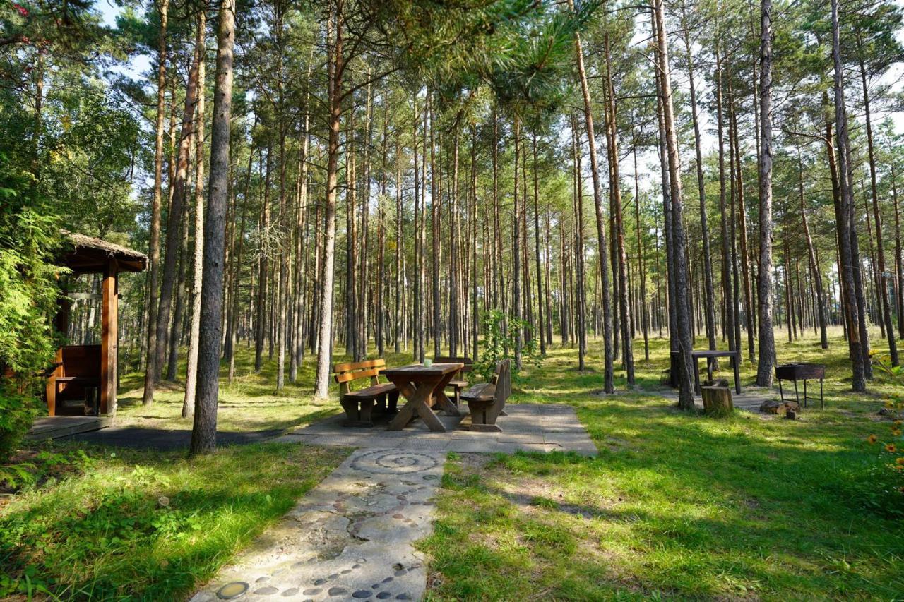 Forest Cottage Neringa Extérieur photo