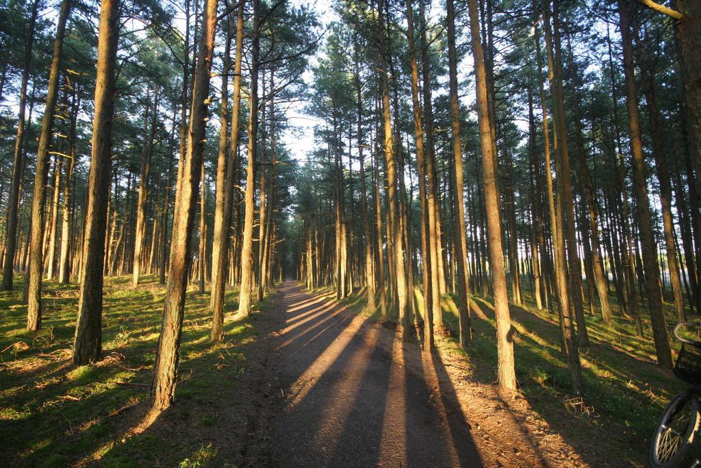 Forest Cottage Neringa Chambre photo
